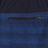 Mens Speedo Volley Swim ShortClassic Blue