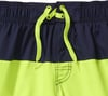 Speedo Boys Swim Trunk Knee Length Blocked VolleyBlue Lemonade