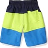 Speedo Boys Swim Trunk Knee Length Blocked VolleyBlue Lemonade