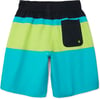 Speedo Boys Swim Trunk Knee Length Blocked VolleyCeramic