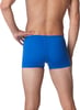 Speedo Mens Swimsuit Square Leg Endurance SolidSpeedo Blue