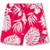 Speedo Boys Swim Trunk Mid Length Redondo PrintedPhilo Palm High Risk Red