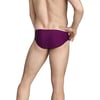 Speedo Mens Swimsuit Brief Endurance The One GraphicCabernet