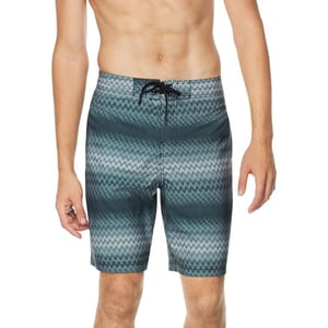 Speedo Borderline Boardshorts 20Anthracite