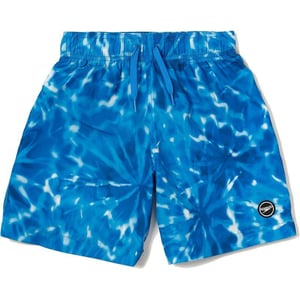 Speedo Boys Swim Trunk Mid Length Redondo PrintedElectric Blue Lemonade