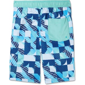 Speedo Boys Swim Trunk Knee Length Boardshort EBoard PrintedArctic Glass