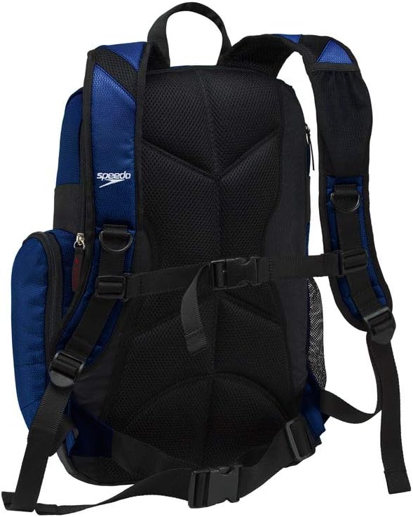 imageSpeedo Unisex Large Teamster 20 Backpack 35Liter  Speedo BlackRoyal Blue