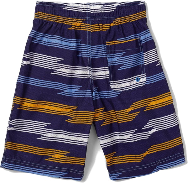 Speedo Boys Swim Trunk Knee Length Boardshort EBoard PrintedSea Ridge Peacoat