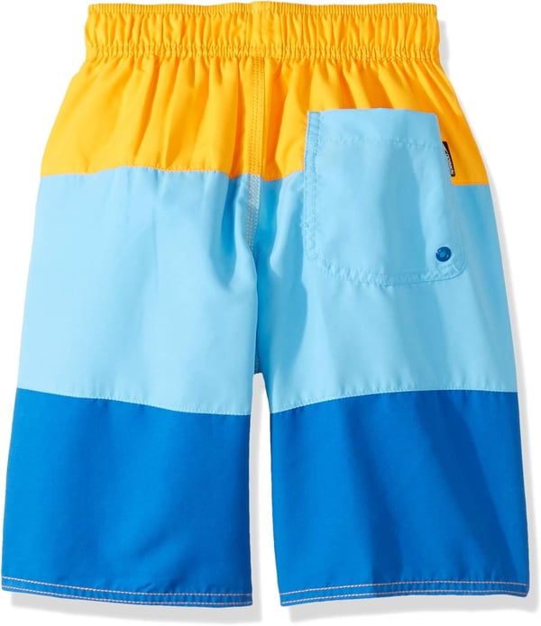 Speedo Boys Swim Trunk Knee Length Blocked VolleyAutumn