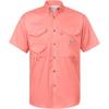 Salmon Pink