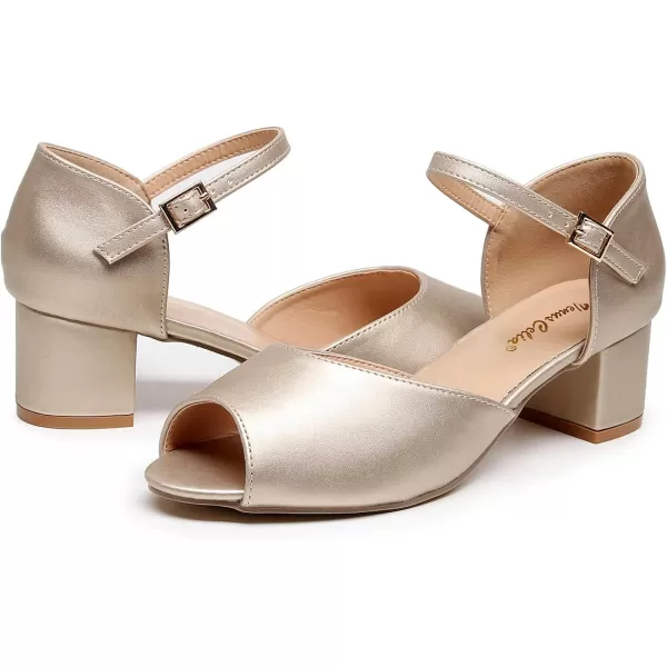 VenusCelia Women's Easy Going Strap Pump Chunky Heeled Sandal
