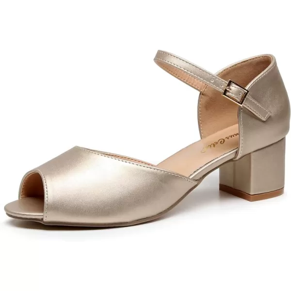 VenusCelia Women's Easy Going Strap Pump Chunky Heeled Sandal