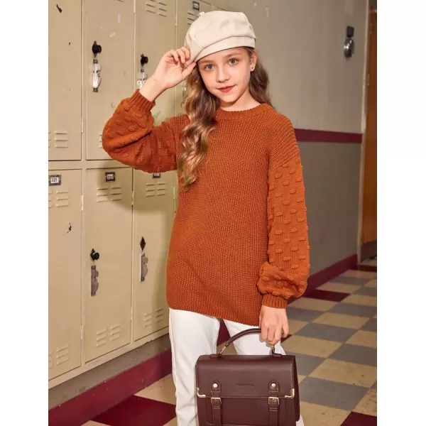 Arshiner Girls Crewneck Sweaters Chunky Lantern Sleeve Knit Jumper Tops Casual Drop Shoulder Pullover Outwear for 5-13 Years