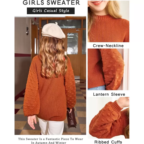 Arshiner Girls Crewneck Sweaters Chunky Lantern Sleeve Knit Jumper Tops Casual Drop Shoulder Pullover Outwear for 5-13 Years