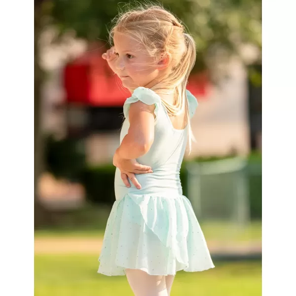 Arshiner Girls Ruffle Sleeve Ballet Dance Dress Tutu Skirted Leotard