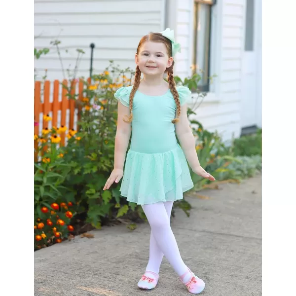 Arshiner Girls Ruffle Sleeve Ballet Dance Dress Tutu Skirted Leotard