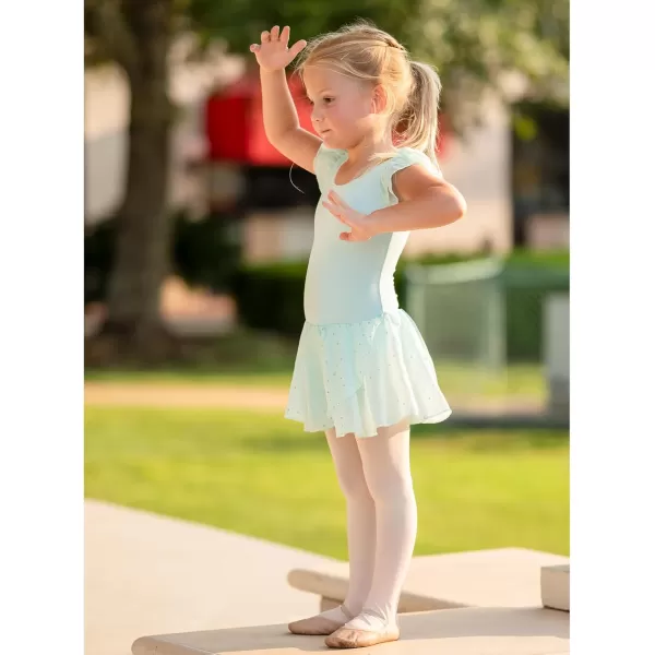 Arshiner Girls Ruffle Sleeve Ballet Dance Dress Tutu Skirted Leotard