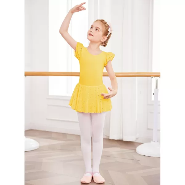 Arshiner Girls Ruffle Sleeve Ballet Dance Dress Tutu Skirted Leotard