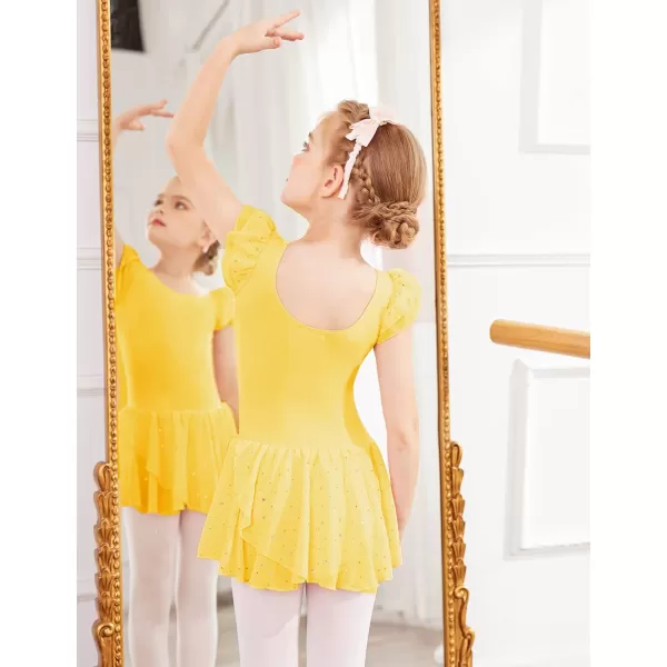Arshiner Girls Ruffle Sleeve Ballet Dance Dress Tutu Skirted Leotard