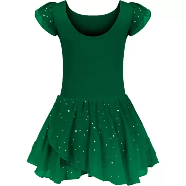 Arshiner Girls Ruffle Sleeve Ballet Dance Dress Tutu Skirted Leotard