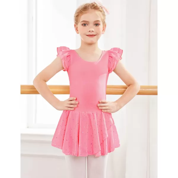 Arshiner Girls Ruffle Sleeve Ballet Dance Dress Tutu Skirted Leotard