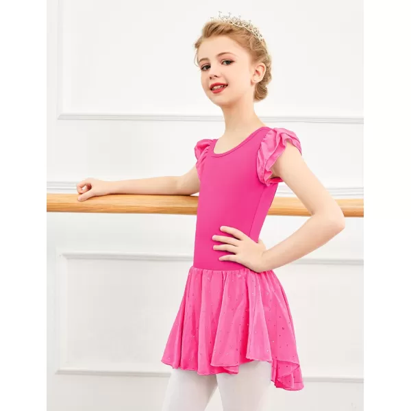 Arshiner Girls Shiny Ruffle Sleeve Ballet Leotard with Skirt Criss-Cross Back Dance Dresses