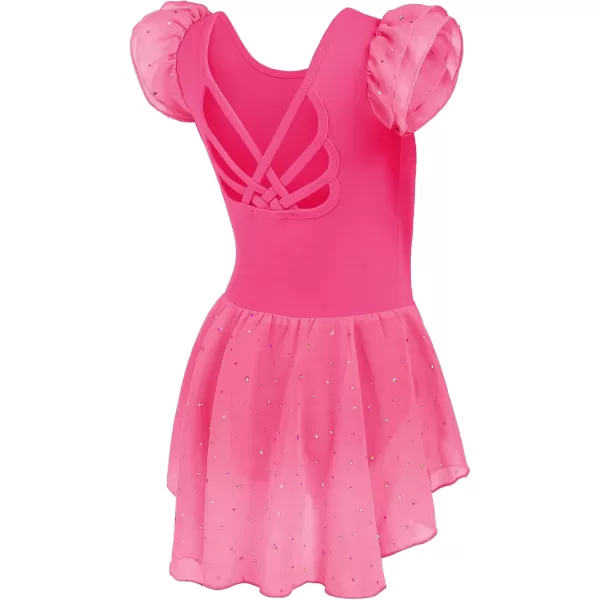Arshiner Girls Shiny Ruffle Sleeve Ballet Leotard with Skirt Criss-Cross Back Dance Dresses