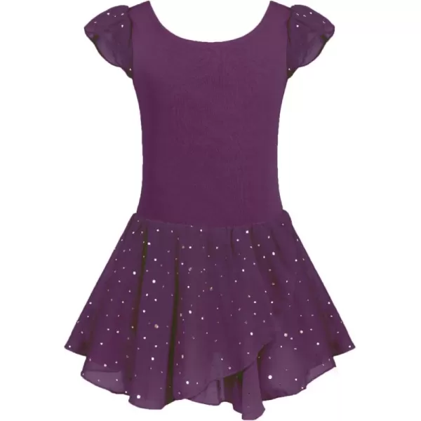 Arshiner Girls Ruffle Sleeve Ballet Dance Dress Tutu Skirted Leotard