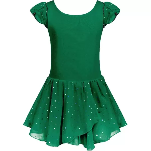 Arshiner Girls Ruffle Sleeve Ballet Dance Dress Tutu Skirted Leotard