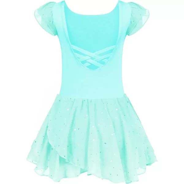 Arshiner Girls Ruffle Sleeve Ballet Dance Dress Tutu Skirted Leotard