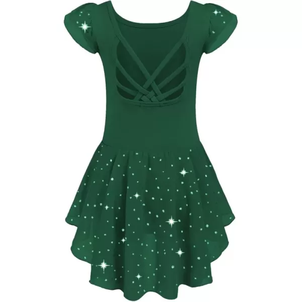 Arshiner Girls Shiny Ruffle Sleeve Ballet Leotard with Skirt Criss-Cross Back Dance Dresses