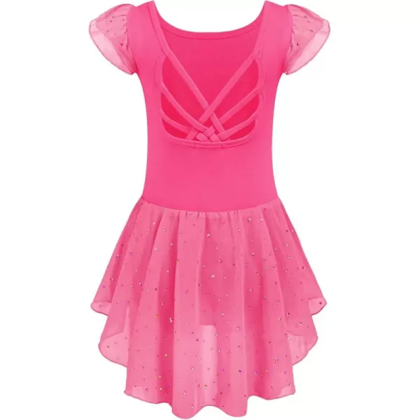 Arshiner Girls Shiny Ruffle Sleeve Ballet Leotard with Skirt Criss-Cross Back Dance Dresses