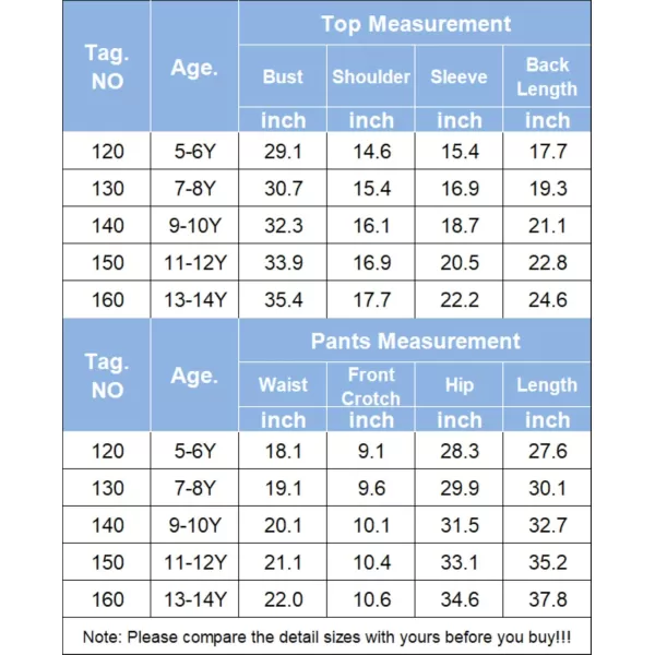 Arshiner 2 Piece Outfits for Girls Velour Tracksuit Hoodie and Jogger Set Sweatsuit Athletic Clothes Sets