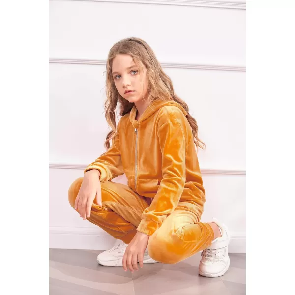 Arshiner 2 Piece Outfits for Girls Velour Tracksuit Hoodie and Jogger Set Sweatsuit Athletic Clothes Sets