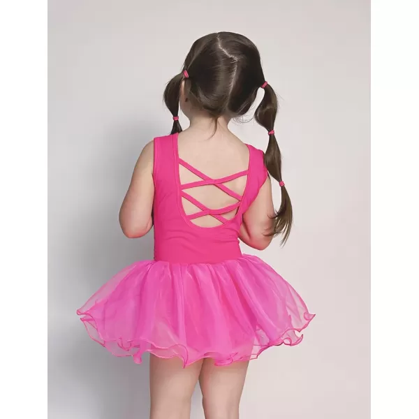 Arshiner Girls Dance Tutu Dress Sparkly Sequin Ballet Leotards Cross Back Ballerina Costumes for Toddler Party
