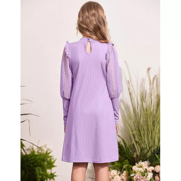 Arshiner Girl's Sheer Contrast Mesh Long Sleeve Stand Collar Casual Vintage Party Dress for 5-13 Years
