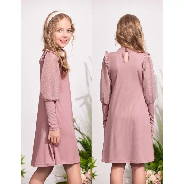 Arshiner Girl's Sheer Contrast Mesh Long Sleeve Stand Collar Casual Vintage Party Dress for 5-13 Years