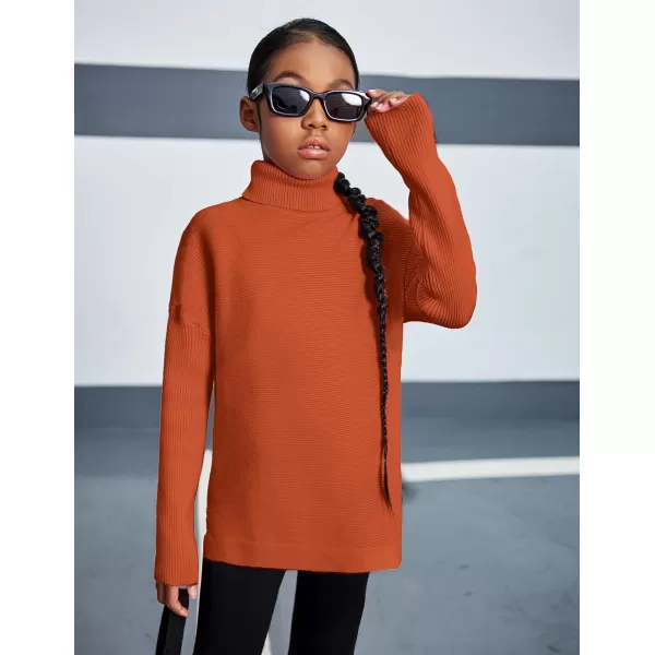 Arshiner Girls Sweaters Turtleneck Kids Tunic Long Sleeve Knit Chunky Pullover Jumper Tops