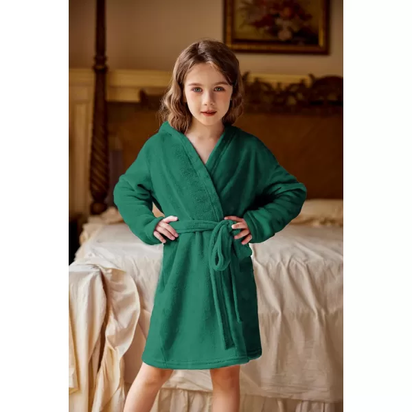 Arshiner Boys Girls Flannel Bathrobes Soft Fuzzy Hooded Robe Sleepwear with Belt for Kids