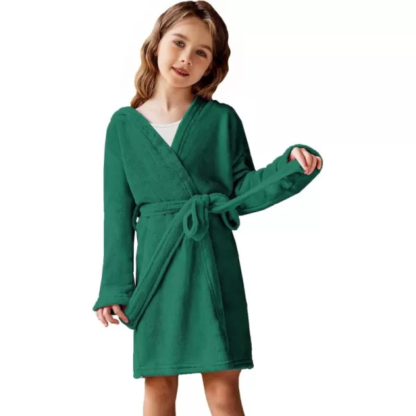 Arshiner Boys Girls Flannel Bathrobes Soft Fuzzy Hooded Robe Sleepwear with Belt for Kids