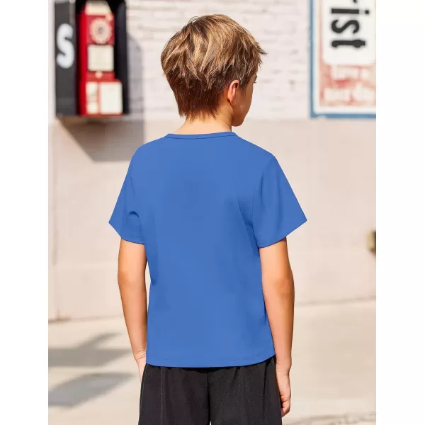 Arshiner Boy's Henley Shirt Soft Style T-Shirt with Multi Color Size 6-16, 2-Pack