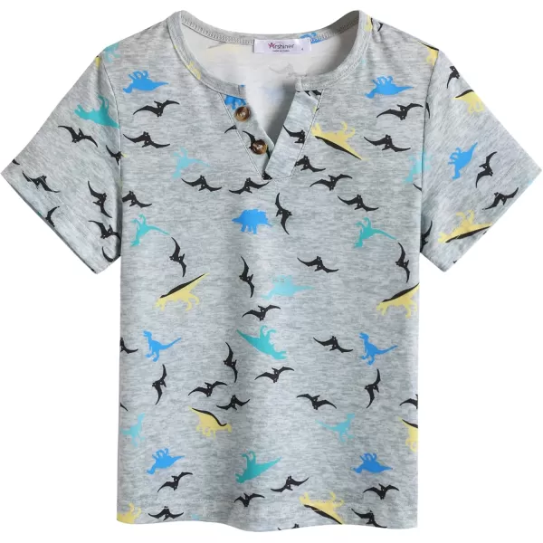 Arshiner Boy's Henley Shirt Soft Style T-Shirt with Multi Color Size 6-16, 2-Pack