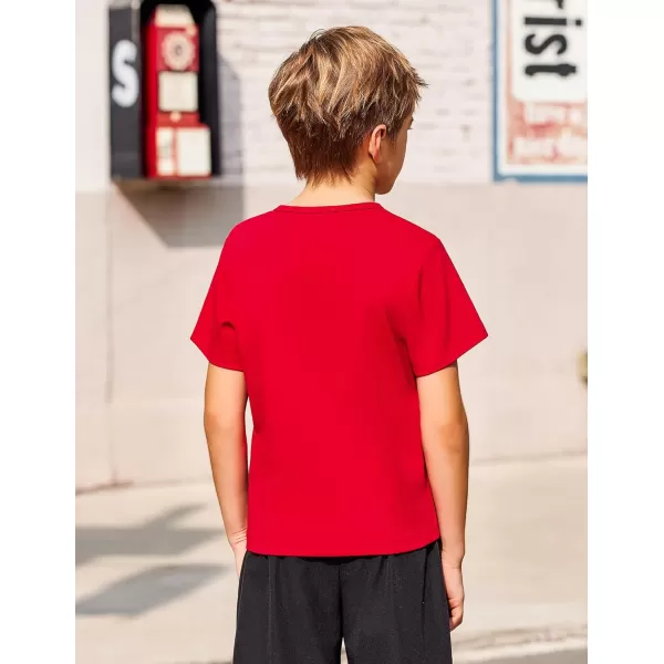 Arshiner Boy's Henley Shirt Soft Style T-Shirt with Multi Color Size 6-16, 2-Pack