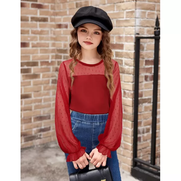 Arshiner Girls Long Sleeve Shirts with Sheer Puff Cute Lantern Sleeve Design Lady Style Swiss Dots Tops for Girls Blouse Tee