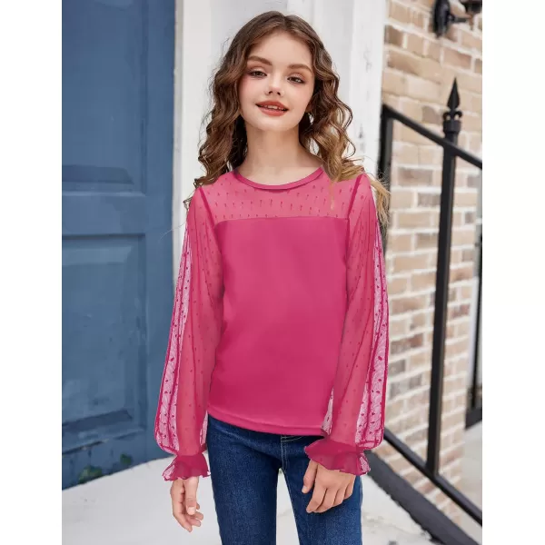 Arshiner Girls Long Sleeve Shirts with Sheer Puff Cute Lantern Sleeve Design Lady Style Swiss Dots Tops for Girls Blouse Tee
