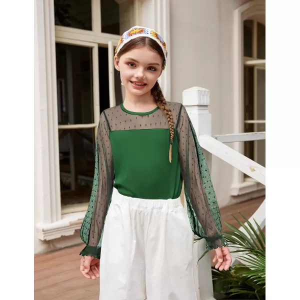 Arshiner Girls Long Sleeve Shirts with Sheer Puff Cute Lantern Sleeve Design Lady Style Swiss Dots Tops for Girls Blouse Tee