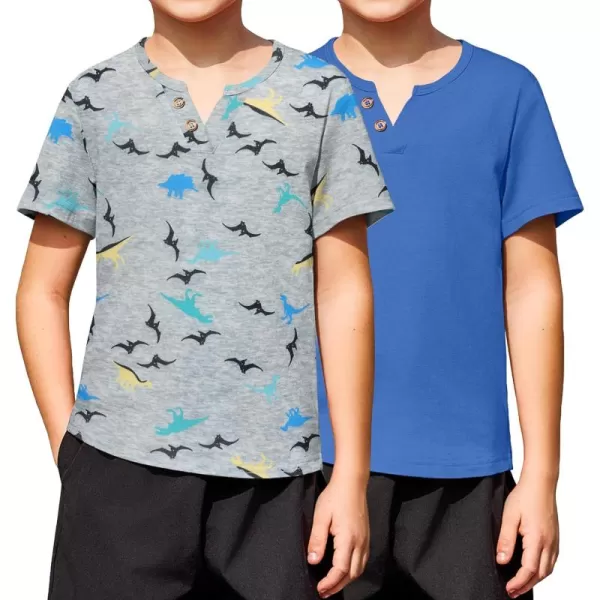 Arshiner Boy's Henley Shirt Soft Style T-Shirt with Multi Color Size 6-16, 2-Pack