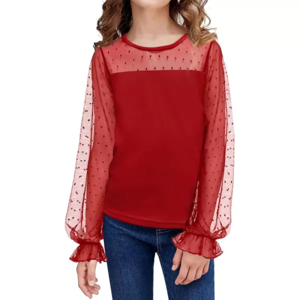 Arshiner Girls Long Sleeve Shirts with Sheer Puff Cute Lantern Sleeve Design Lady Style Swiss Dots Tops for Girls Blouse Tee