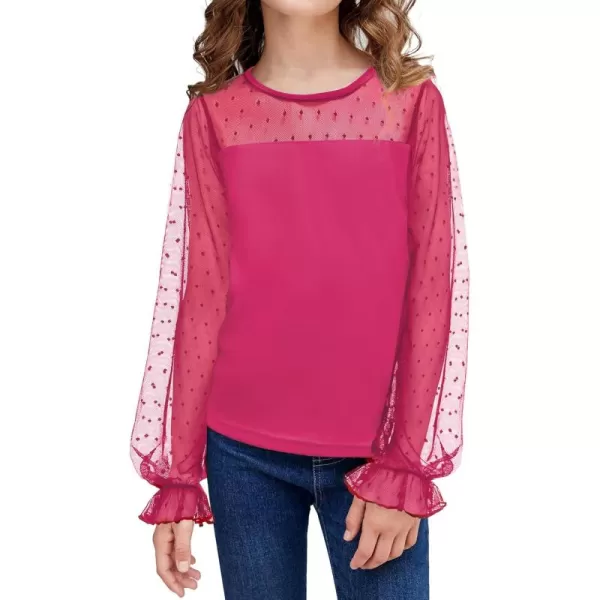 Arshiner Girls Long Sleeve Shirts with Sheer Puff Cute Lantern Sleeve Design Lady Style Swiss Dots Tops for Girls Blouse Tee