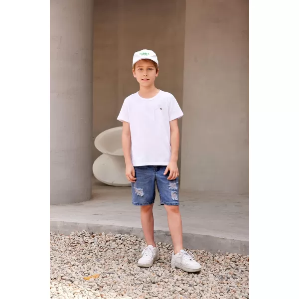 Arshiner Boys Cotton Hipster Crewneck T-Shirt Solid Color Pullover Tee for Kids Tops